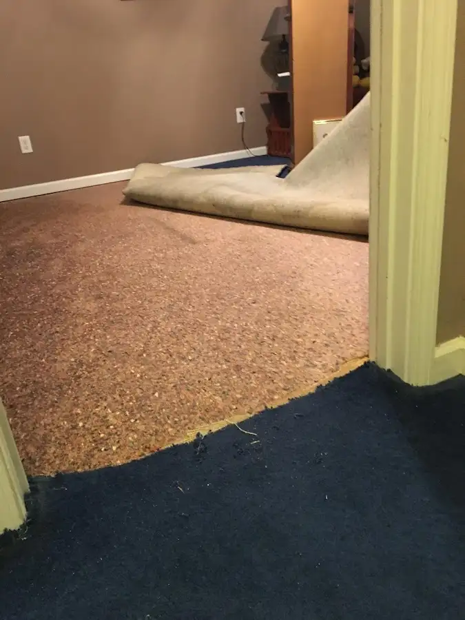 Carpet pad removal revealing water damage during Water Mitigation Services in Pleasant Run