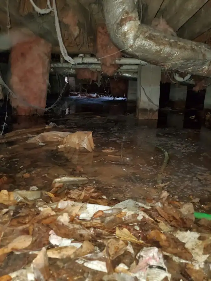 Crawl space flood assessment for Leak Detection & Repair in Pleasant Run